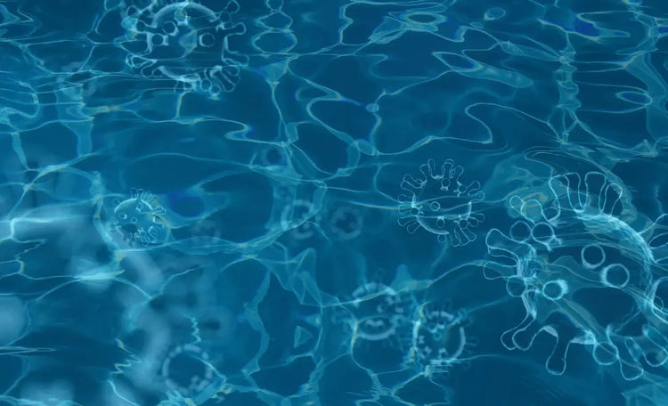 Which Type of Pool Treatment is Right for My Pool? iopool