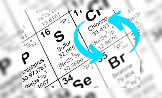 From Bromine to Chlorine: Here Is How to Transition Smoothly!