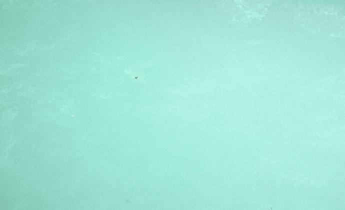 "Das Wasser in meinem Pool ist trüb": Was Sie tun können