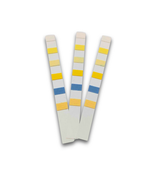 Pool & Spa Test Strips 6-in-1 (EN)